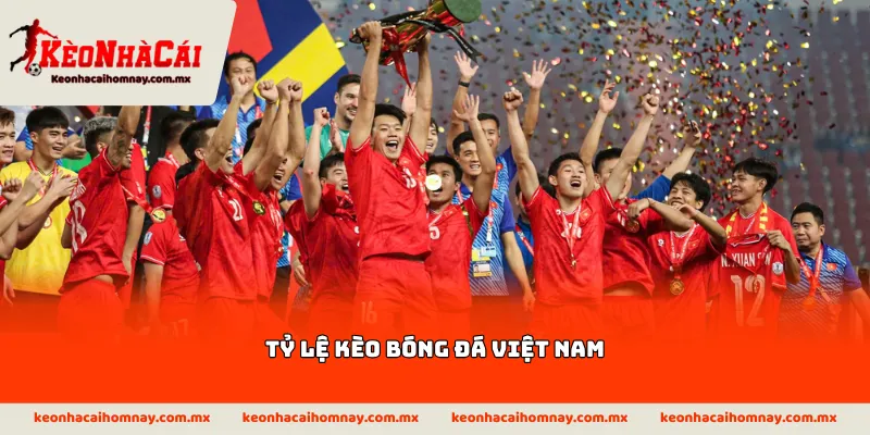 Tỷ lệ kèo bóng đá Việt Nam